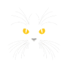 Chat noir
