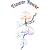 Orchidées- Flower Power