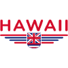 Hawaii Fan T-Shirt – Aloha Style