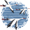 Oiseaux