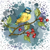 Bunter Vogel