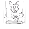 DOG SPORT