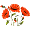 Fleur