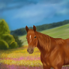 Horse in flower field