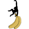 Affe will Banane