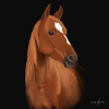 Chesnut horse