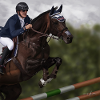 Showjumping horse