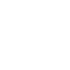 Skibidi Rizz Logo