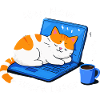 Nap Now Work Later
