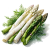 Asparagus
