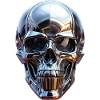 Chrome Skull
