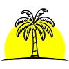 Island Palm Tree Summer Sun