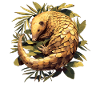 Pangolins Pangolin Pangolin