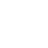 Circle Icon