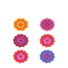 Flower Six-Pack