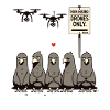 Pigeons unemployed – drones take over