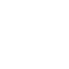 Donkey