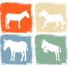 Donkey