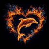 Dolphin Fire Heart