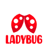 Funny Ladybug Coccinellidae Small Beetles