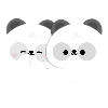 Panda Couple