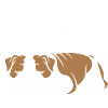 Bulldog