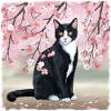 Kirsebærblomst kat: Lyserøde Sakura-blomster, sort kat