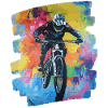 Mountain bikers Downhill Mountains Cycling