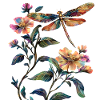 libellule fleurs insecte