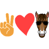 Riding Horse