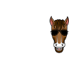 Riding Horse