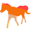 Riding Horse