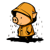 Cute pig in raincoat