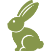 Rabbit Rabbit