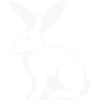 Rabbit Rabbit