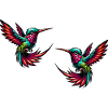 Hummingbird Bird 2