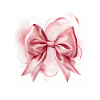 Bow Silk Ribbon Gift