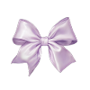 Bow Glamour Silk Gift