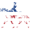 Reiner Us Flag Reining