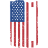 Reiner Us Flag Reining