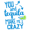 Tequila Party Saying Quote