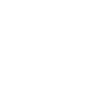 1933 limited edition