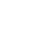 1930 Limited Edition