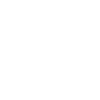 1934 limited edition