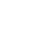 BR 221 ligne demi-blanc