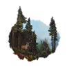 Das Reh und der Schwarzwald