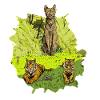 The Guardians