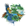 Parrots Flying Over the Jungle