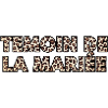 Témoin de La mariée léopard