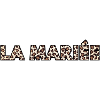 The Leopard Bride